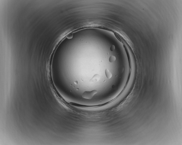 X0000116260850200911301151