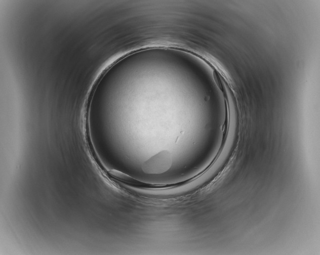 X0000116260854200911301152