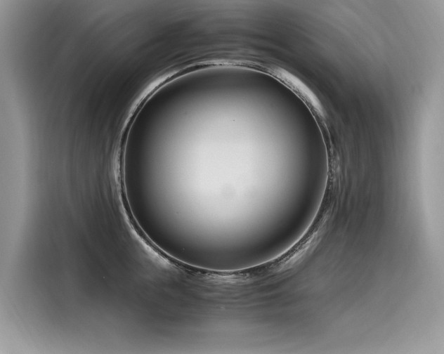 X0000116260855200911301152