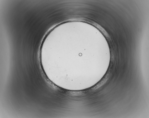 X0000116260856200911301152