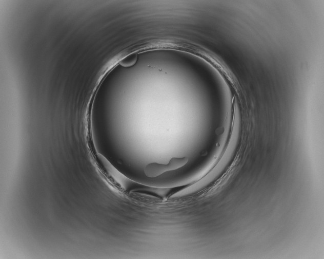 X0000116260858200911301152