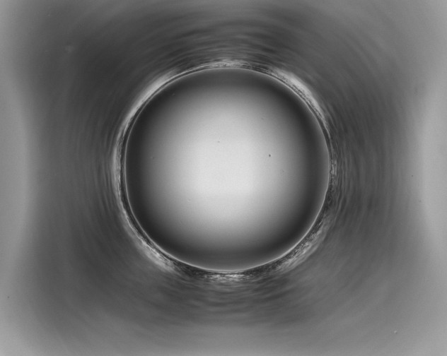 X0000116260859200911301152