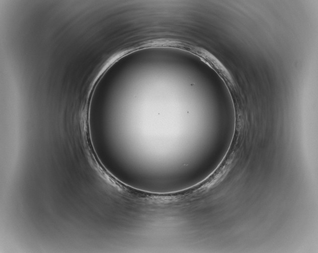 X0000116260860200911301152