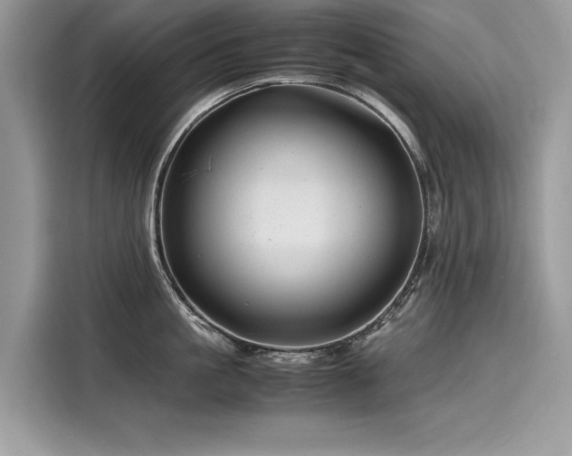 X0000116260861200911301152