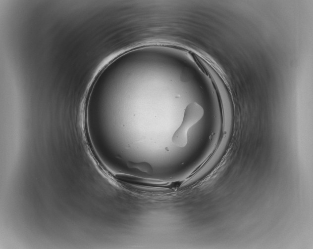 X0000116260862200911301152