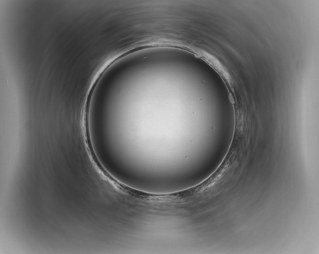X0000116260863200911301152