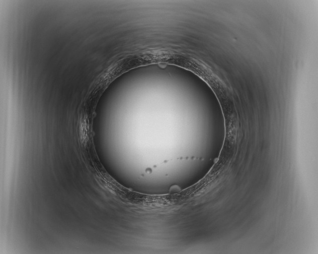 X0000116260866200911301151
