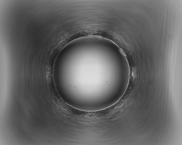 X0000116260867200911301151