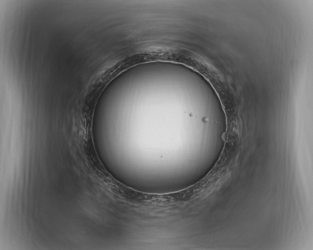 X0000116260869200911301151