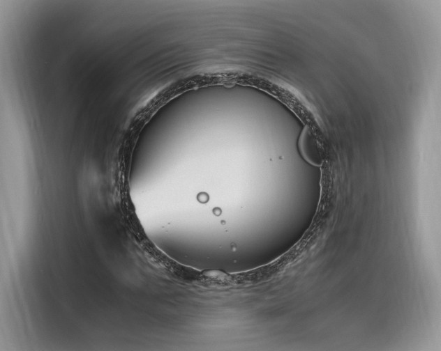 X0000116260871200911301151
