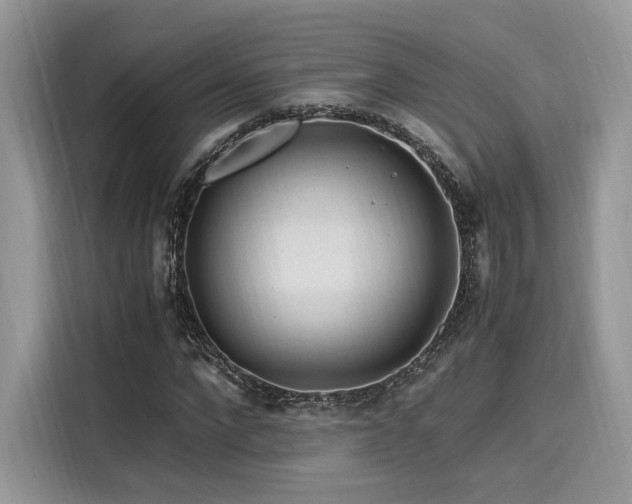 X0000116260872200911301151