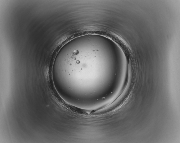 X0000116260873200911301151