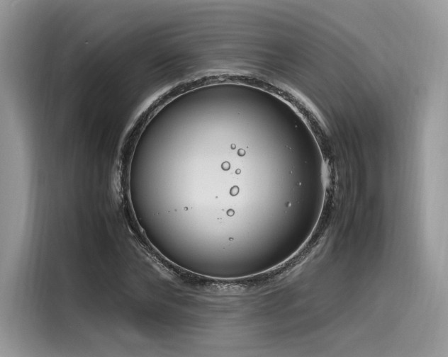 X0000116260878200911301151