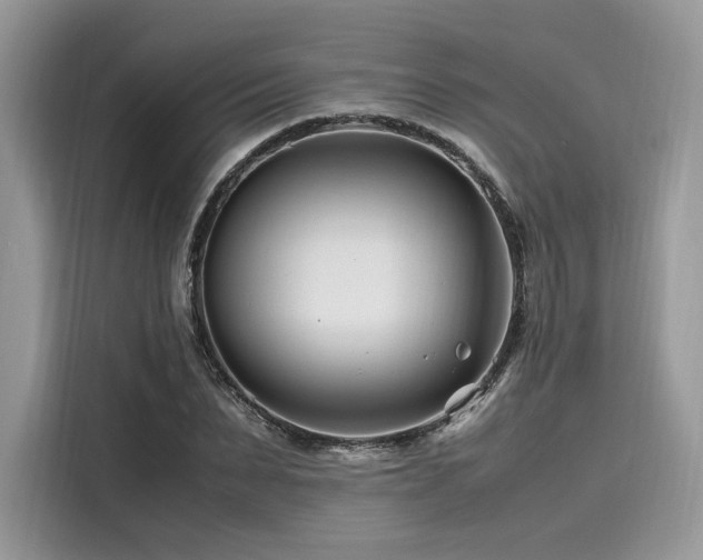 X0000116260879200911301151