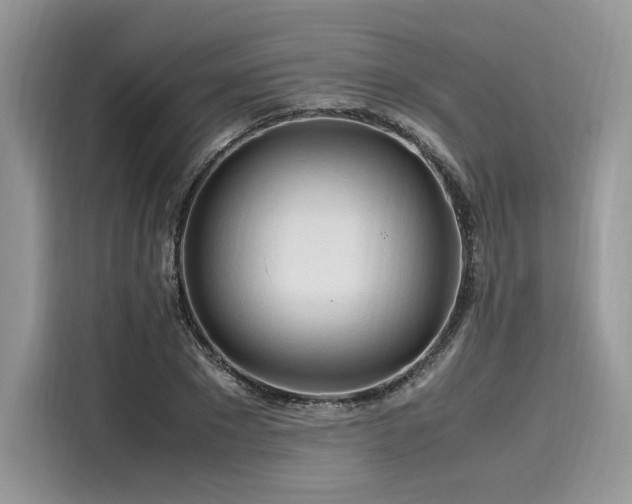 X0000116260881200911301151