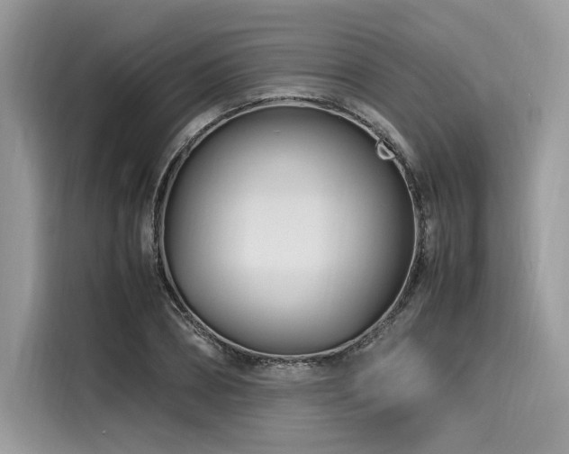 X0000116260882200911301151