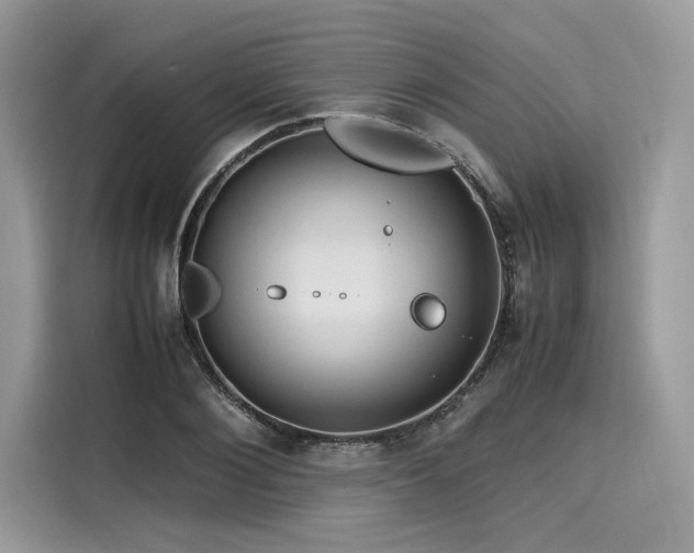 X0000116260884200911301151