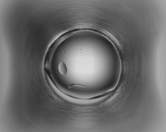 X0000116260885200911301151
