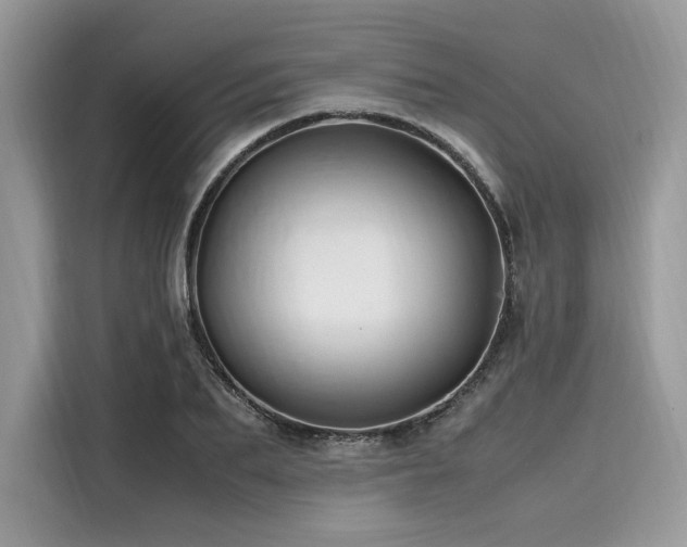 X0000116260887200911301151