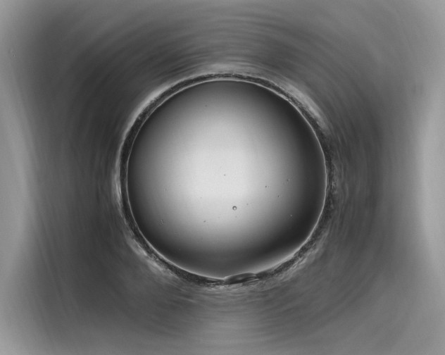 X0000116260888200911301151