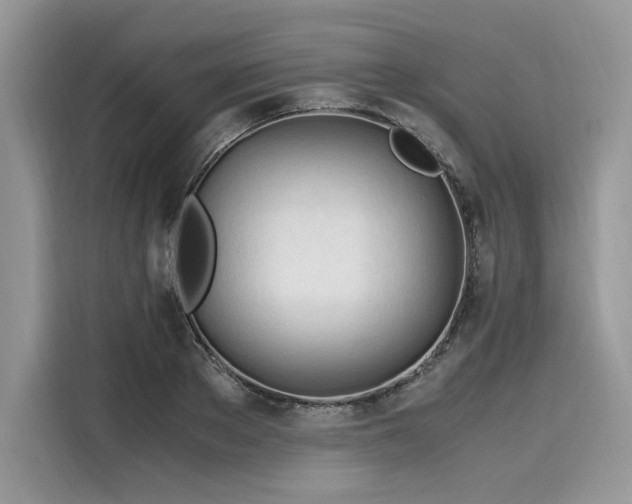 X0000116260889200911301151