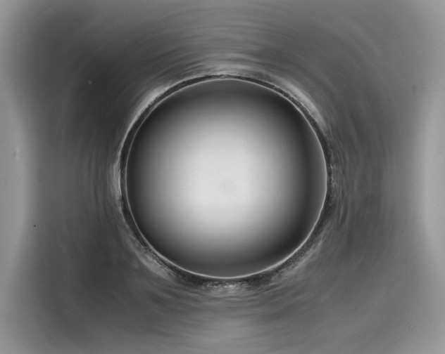 X0000116260891200911301151