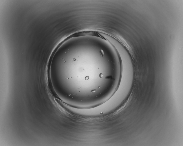 X0000116260892200911301151
