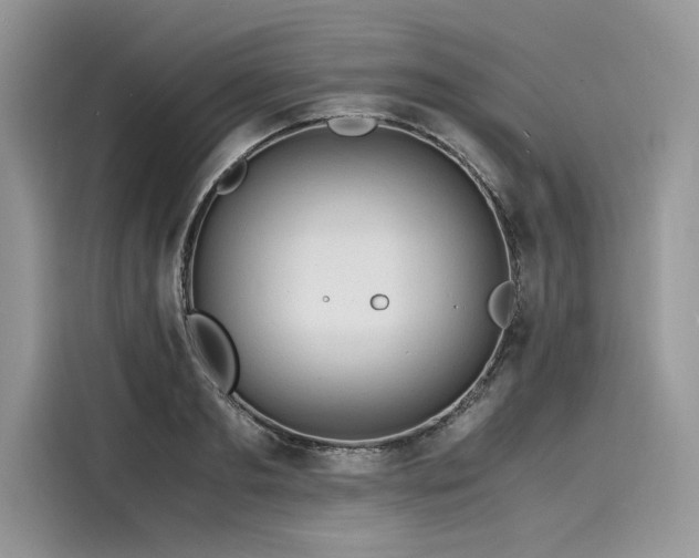 X0000116260893200911301151