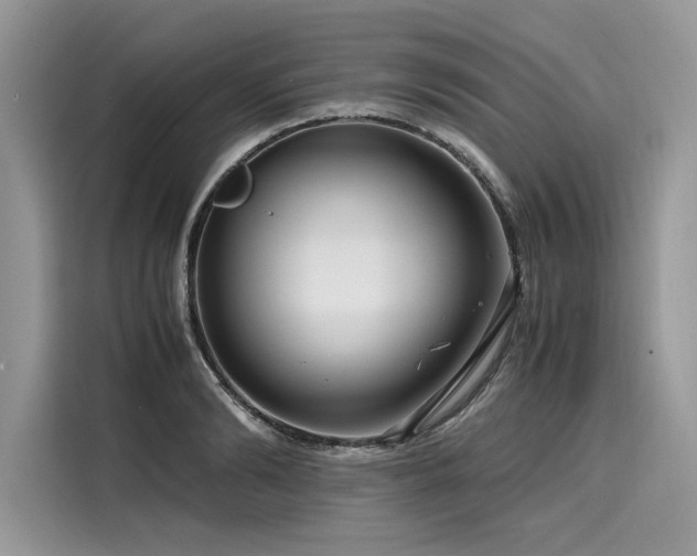 X0000116260894200911301151