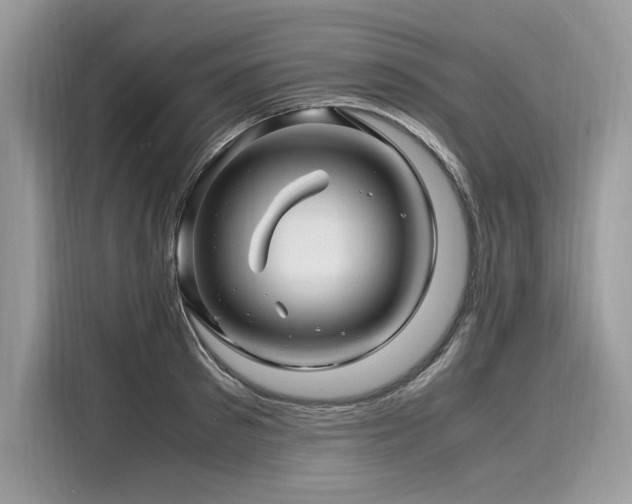 X0000116260897200911301151