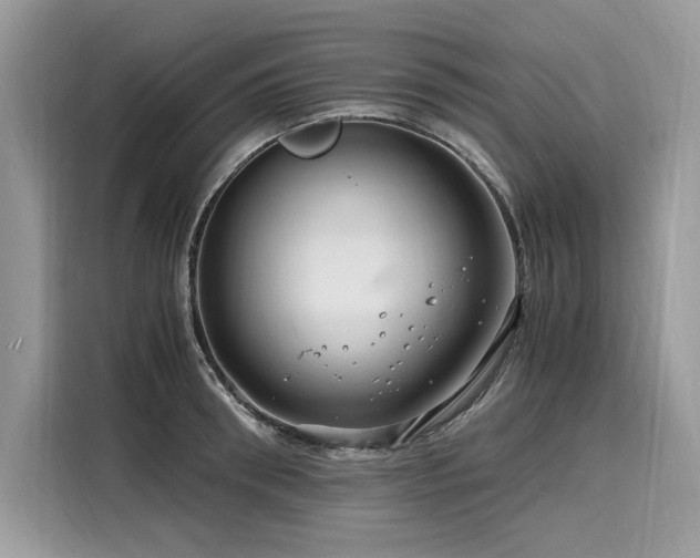 X0000116260898200911301151