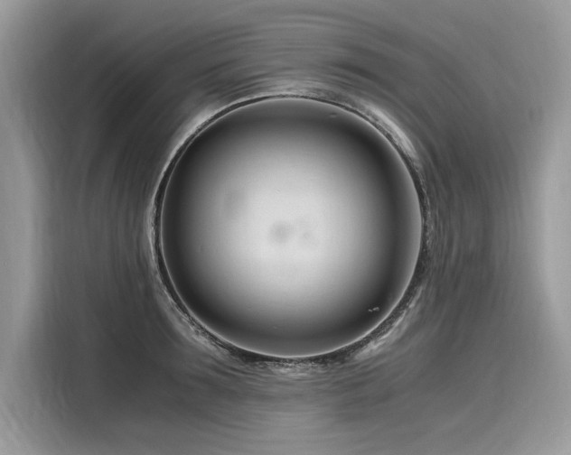 X0000116260899200911301151