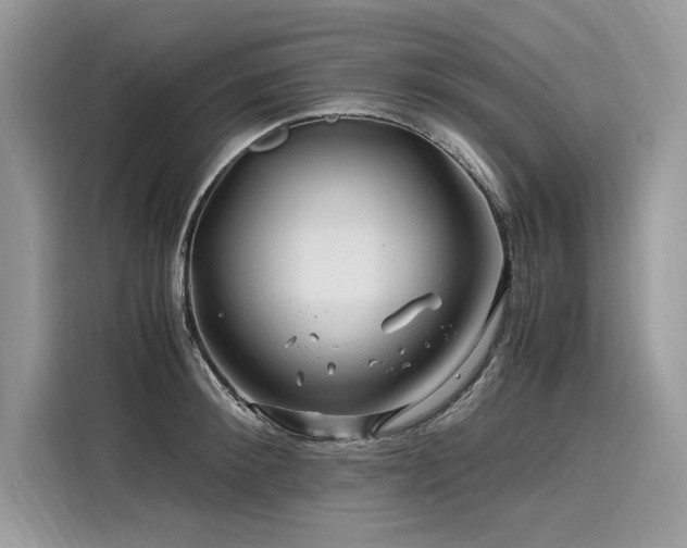 X0000116260900200911301151