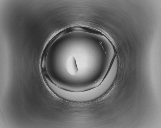 X0000116260901200911301151