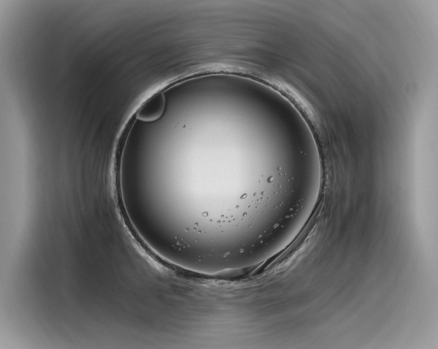 X0000116260902200911301151