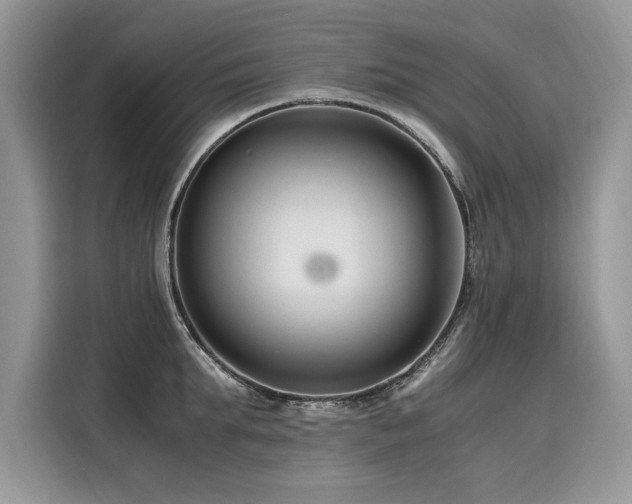 X0000116260903200911301151