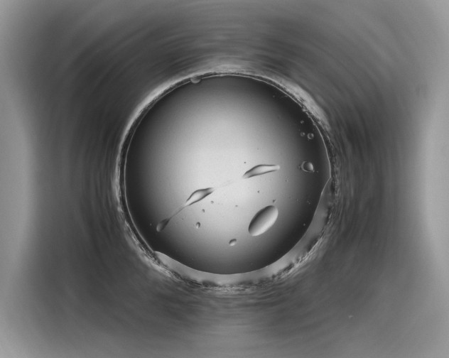 X0000116260904200911301151