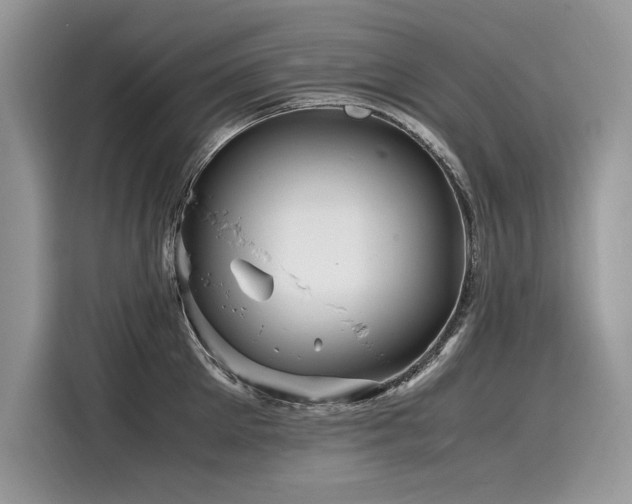 X0000116260905200911301151