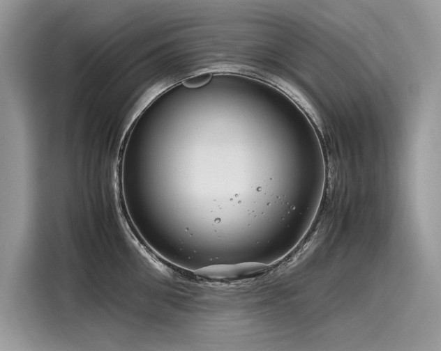 X0000116260906200911301151