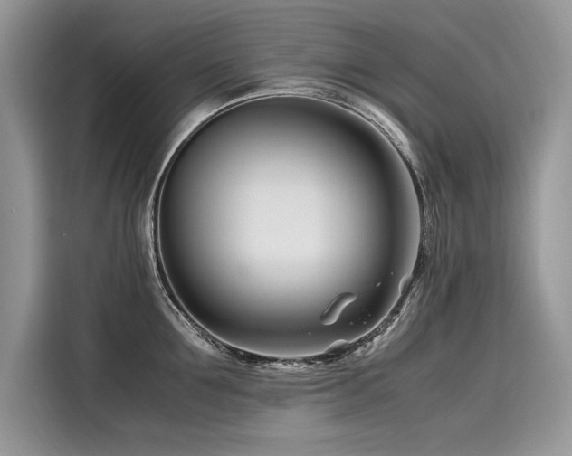 X0000116260907200911301150