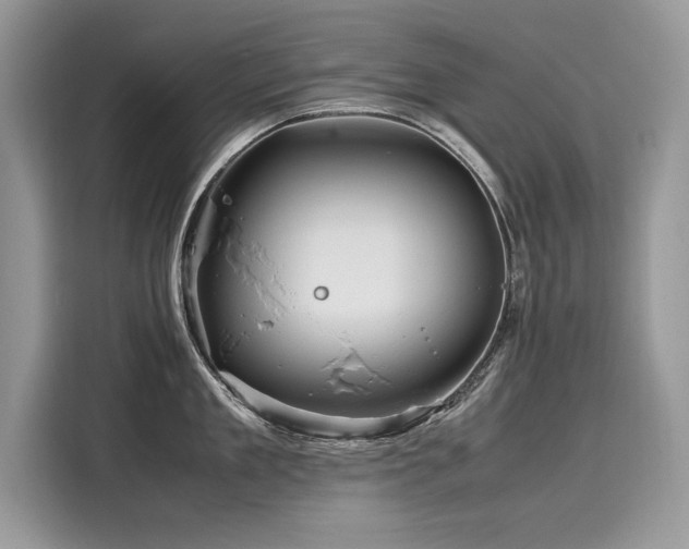 X0000116260909200911301150