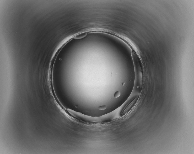 X0000116260910200911301150