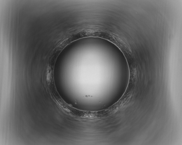 X0000116260914200911301150