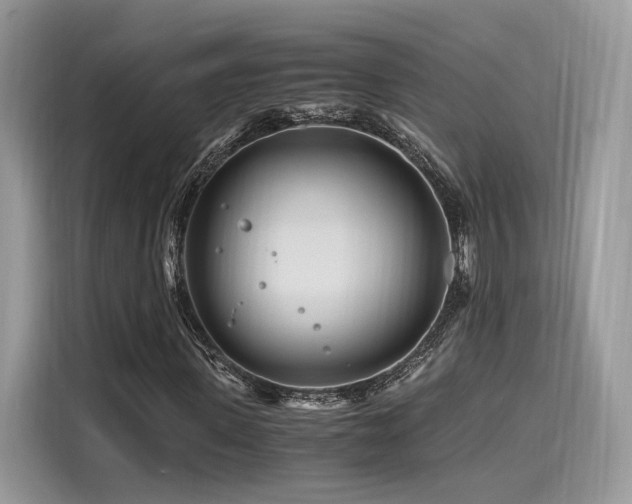 X0000116260915200911301150