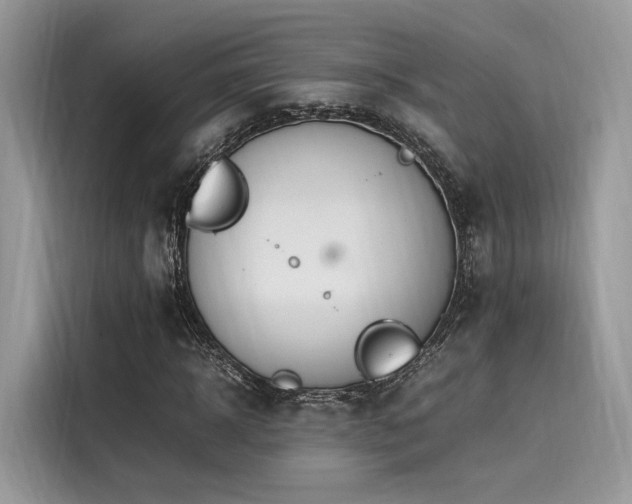 X0000116260918200911301150