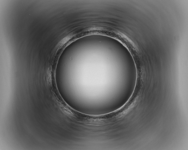 X0000116260921200911301150
