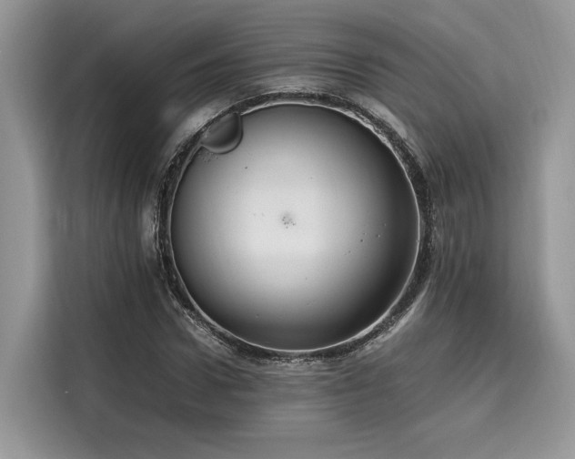 X0000116260922200911301150