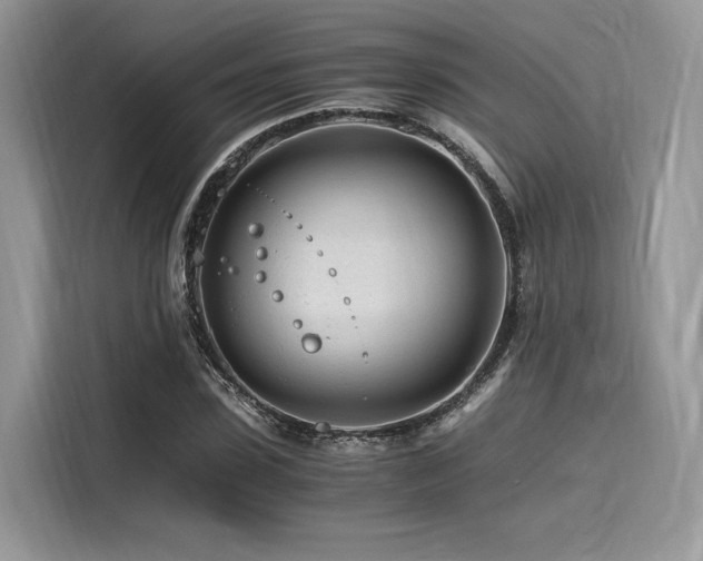 X0000116260923200911301150