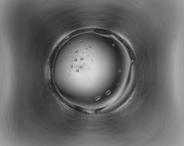 X0000116260925200911301150