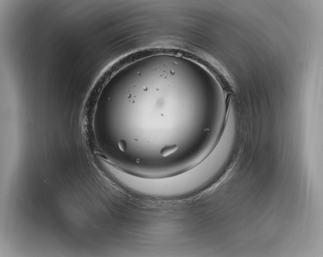X0000116260926200911301150